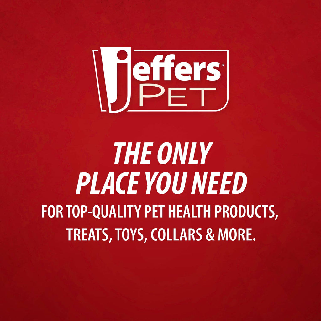 Jeffers Baby Carrot Natural Rubber Treat Dispensing Dog Dental Chew Toy