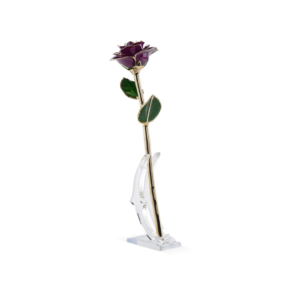 Timeless Rose (Purple)
