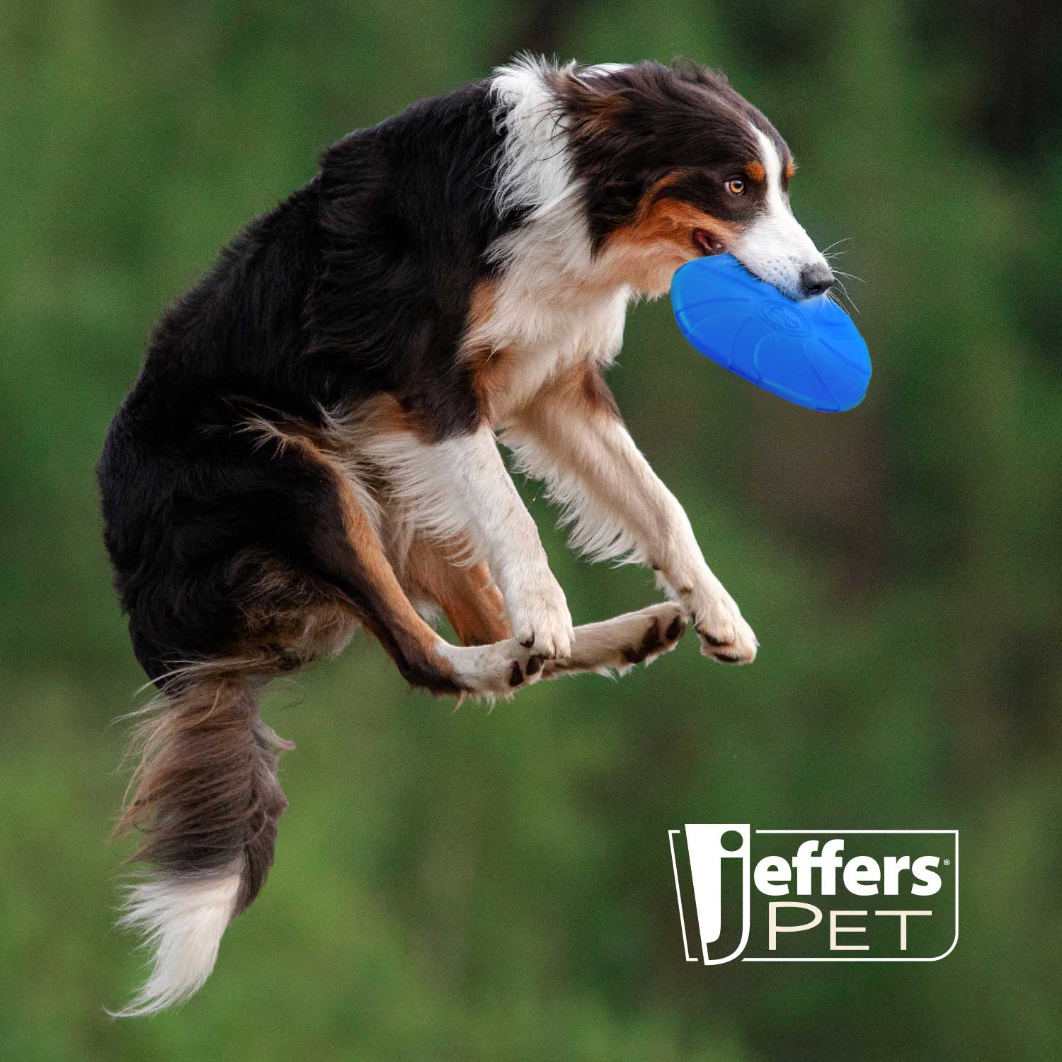 Jeffers Blue Bone Stamped Frisbee Natural Rubber 8 Inch Dog Toy for Fetching & Chewing