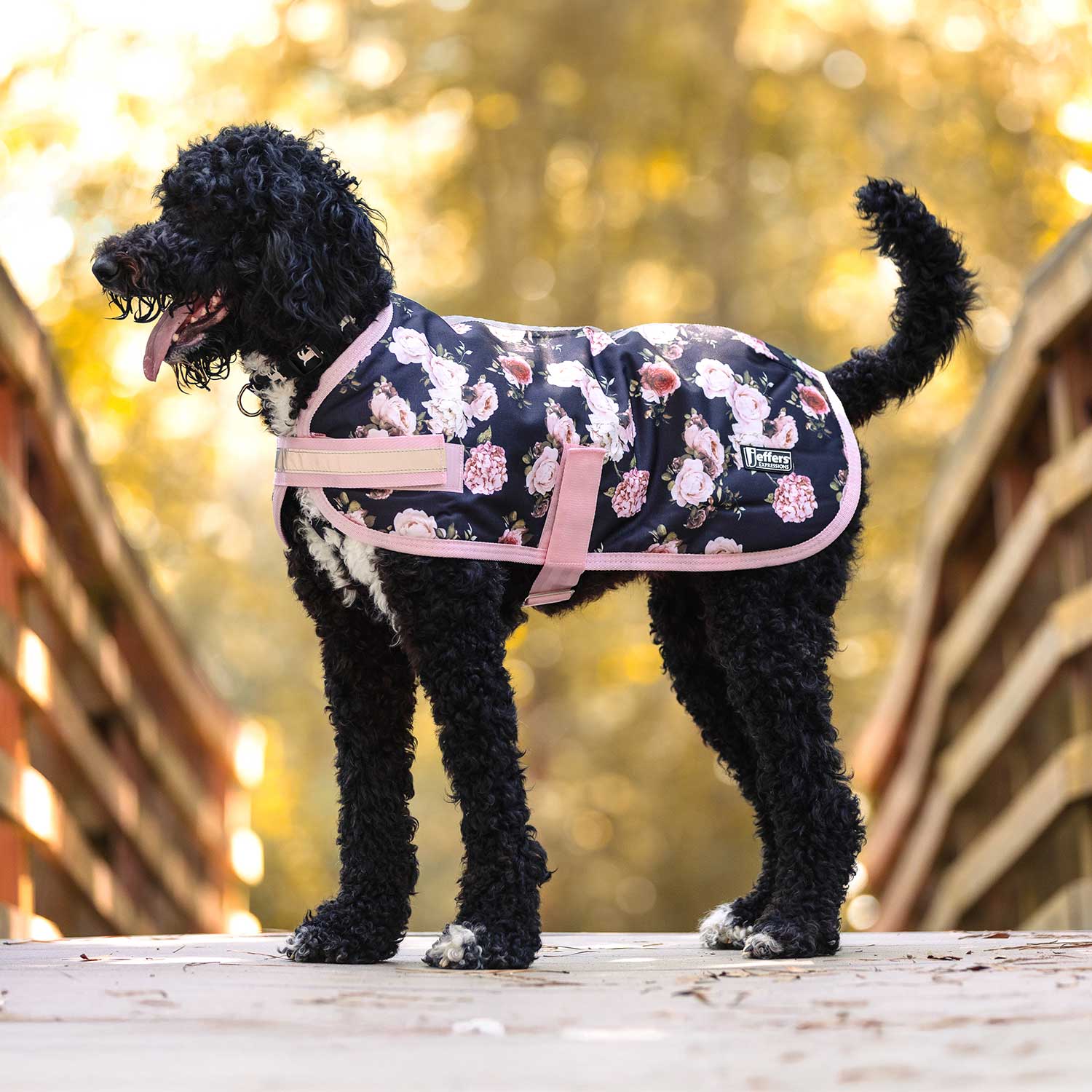 Jeffers Expression 600D Waterproof Ripstop Dog Coat, 240 Grams