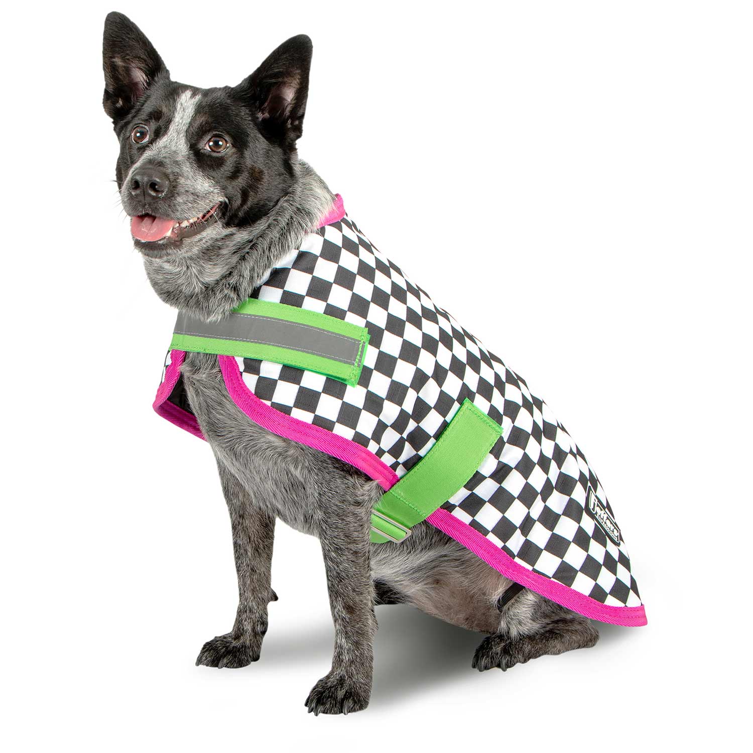Jeffers Expression 600D Waterproof Ripstop Dog Coat, 240 Grams