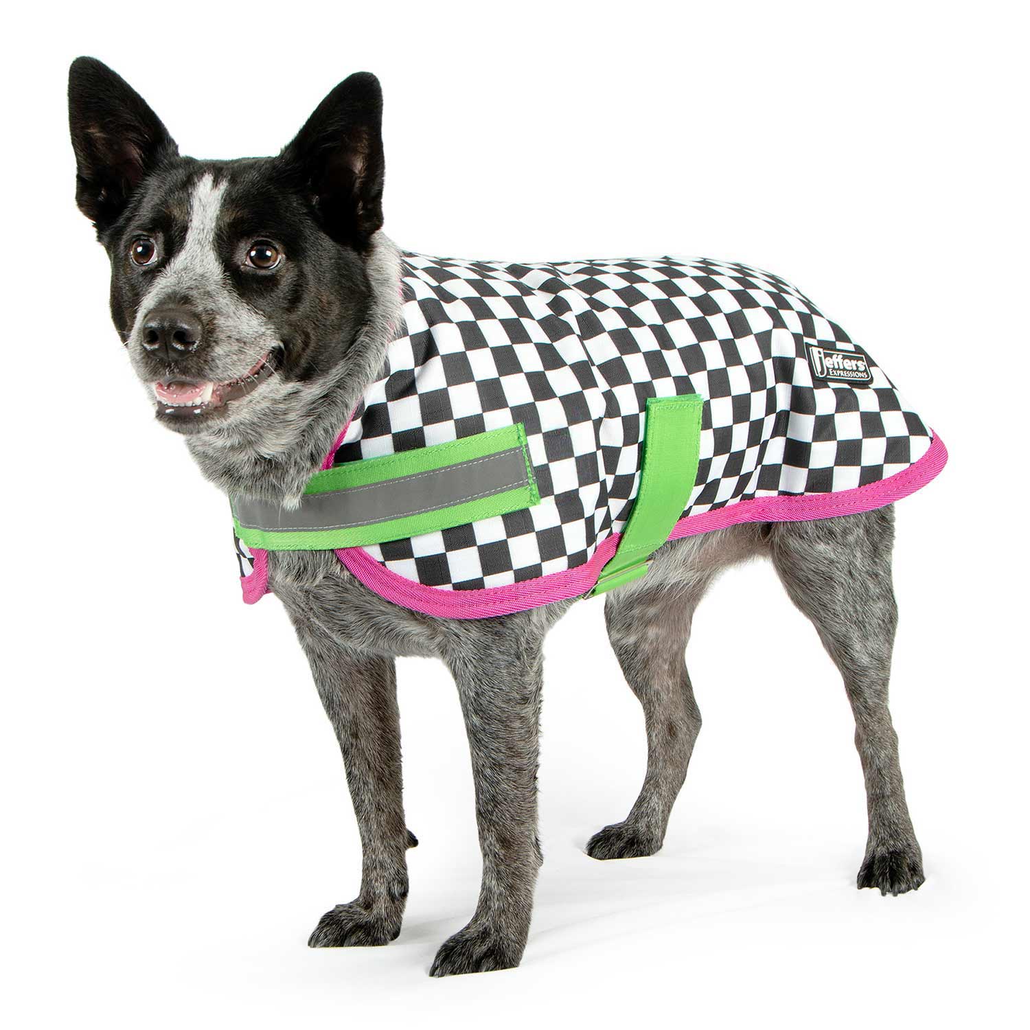 Jeffers Expression 600D Waterproof Ripstop Dog Coat, 240 Grams