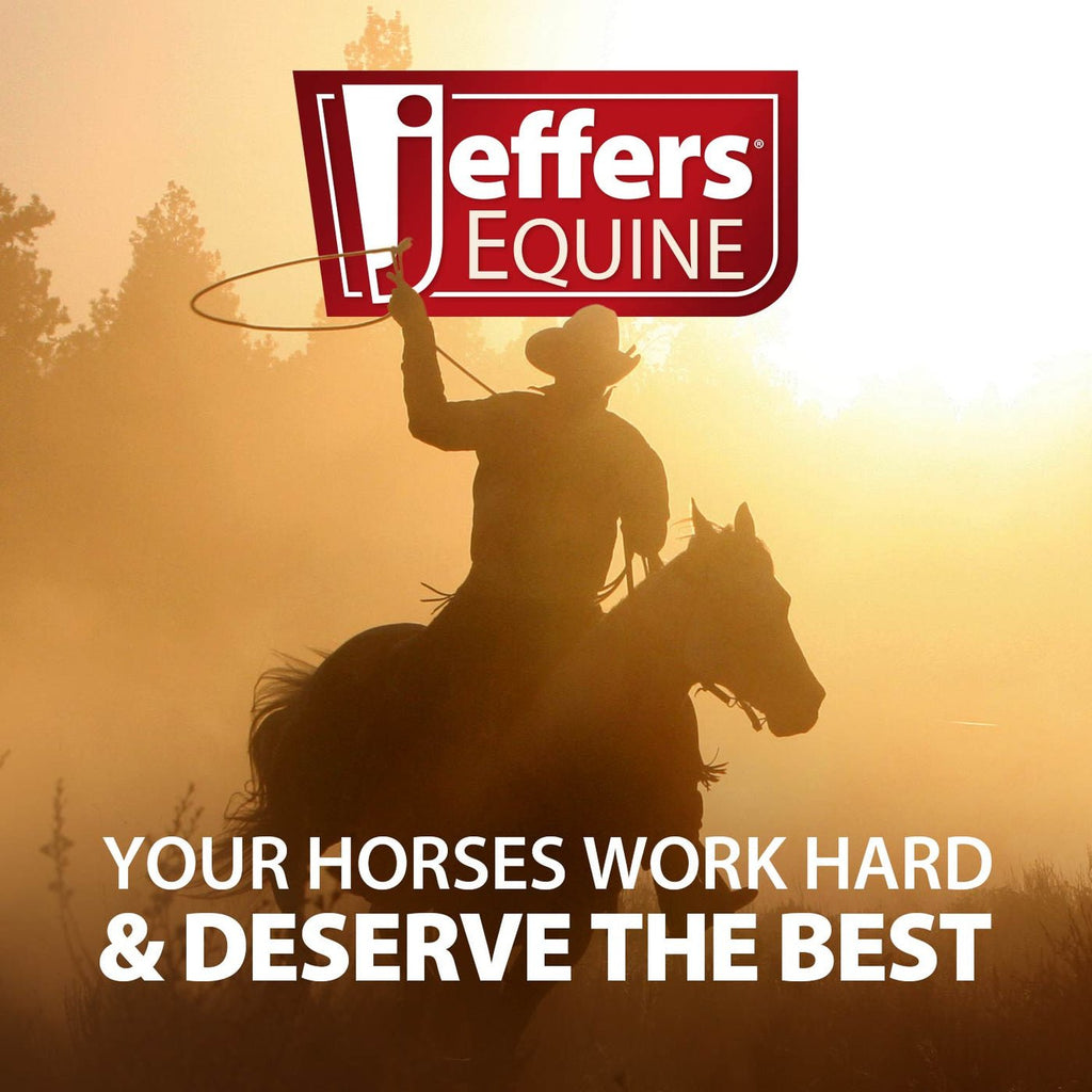 Jeffers Expression Equestrian Nylon Gear Bag