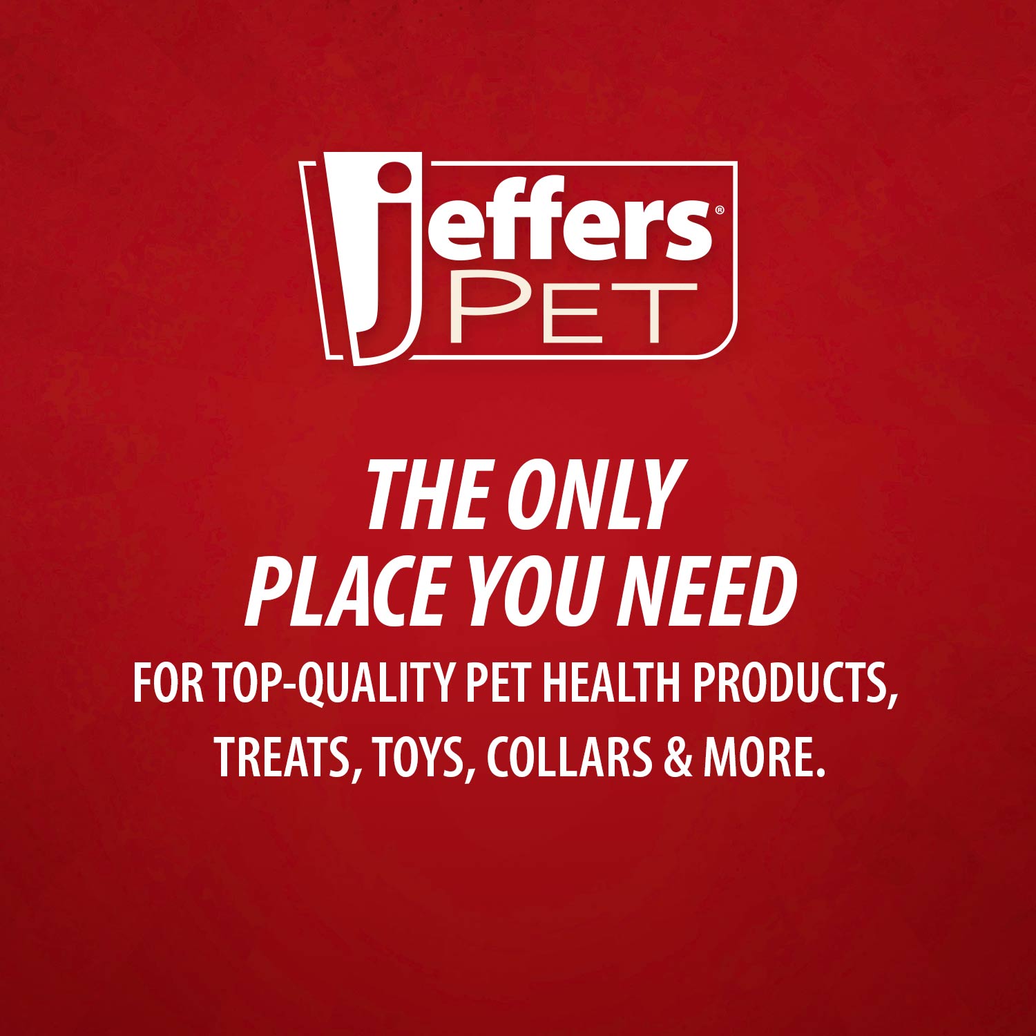 Jeffers Pet Christmas Characters Unstuffed Plush Squeaker Dog Toys, 12 inch