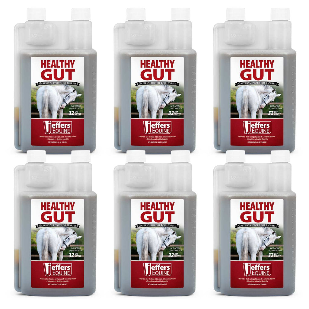 Jeffers Healthy Gut Gastric Support Liquid Supplement for Horses