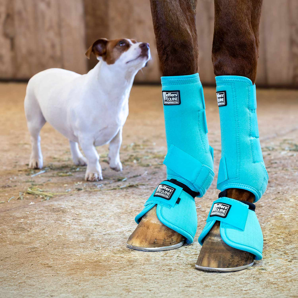 Jeffers Protective Horse Boots, Solid Colors, 2-Pack