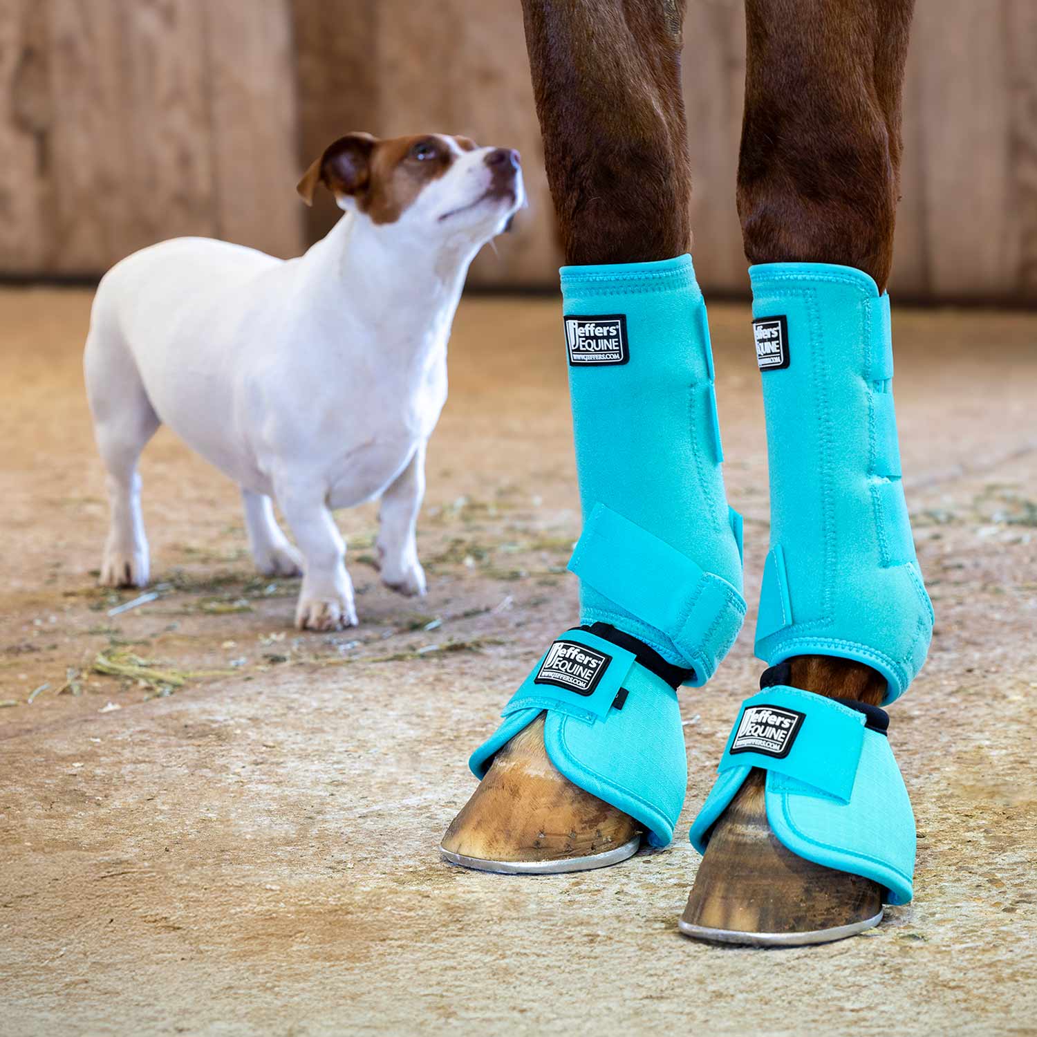 Jeffers Protective Horse Boots, Solid Colors, 2-Pack
