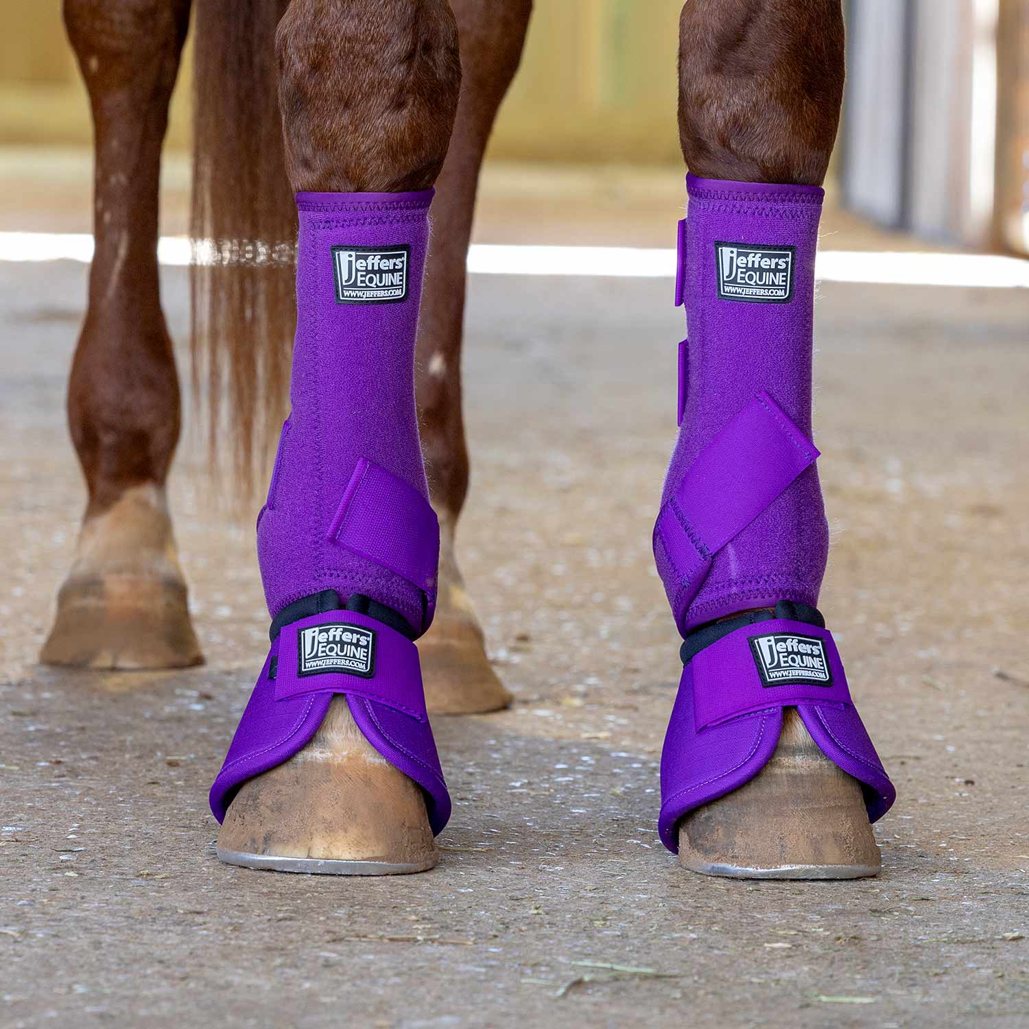 Jeffers Protective Horse Boots, Solid Colors, 2-Pack