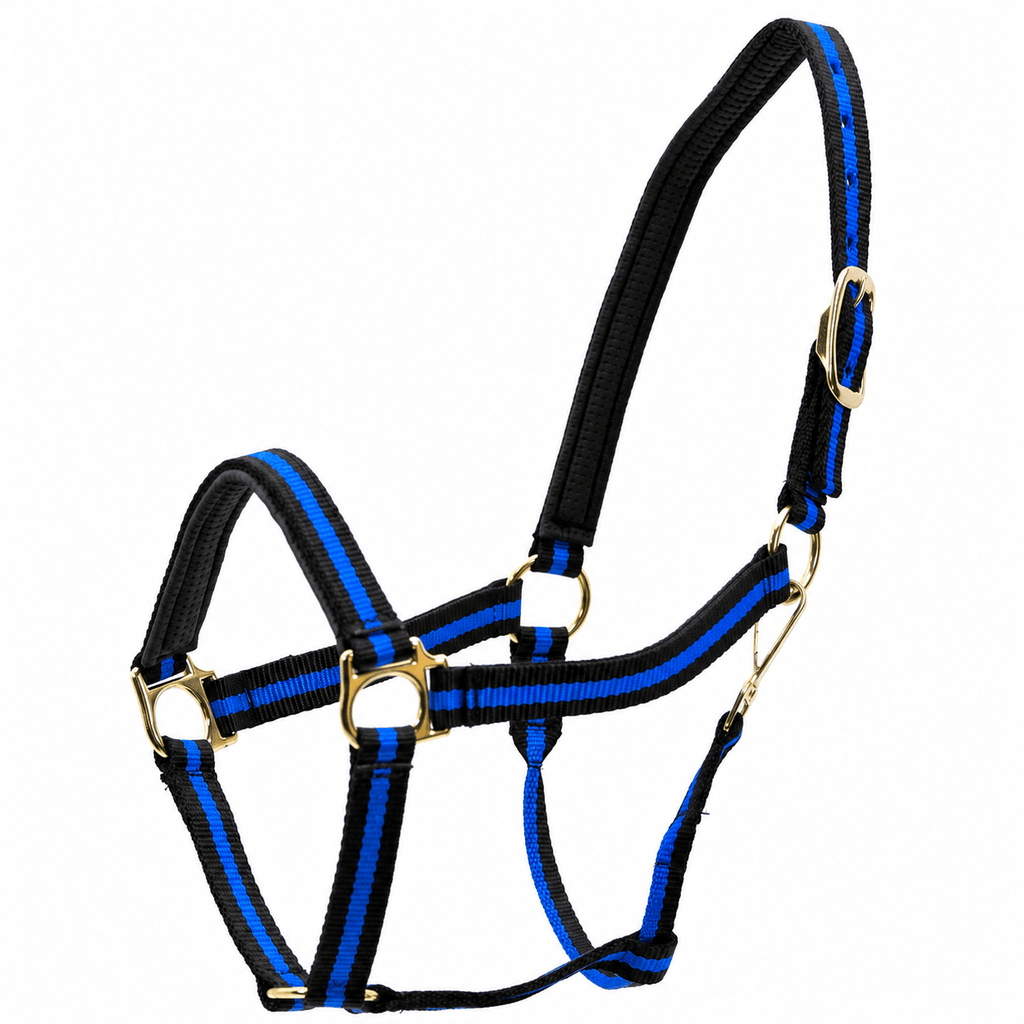 Jeffers Padded Nylon Horse Halter with Throat Snap