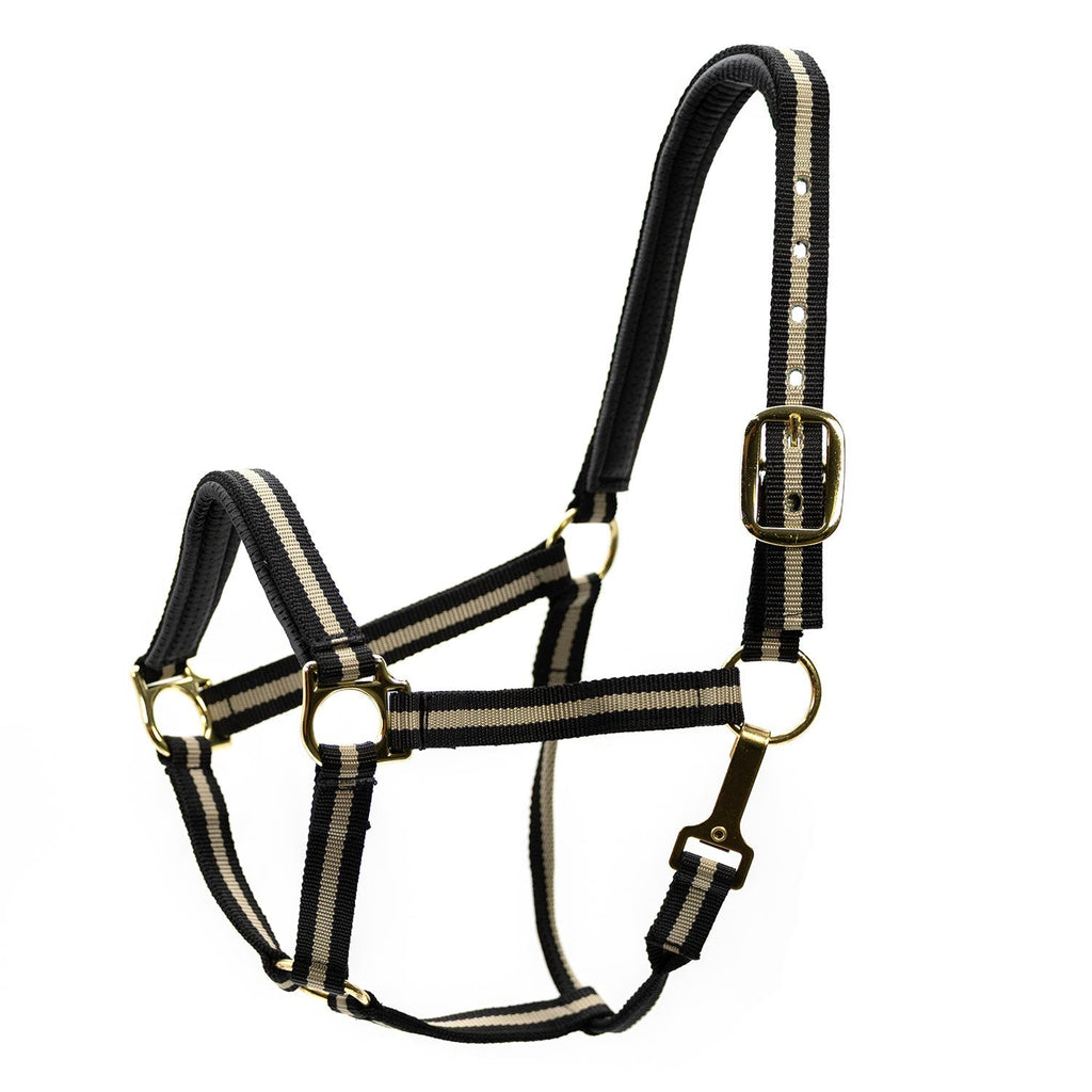 Jeffers Padded Nylon Horse Halter with Throat Snap