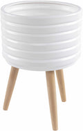 Apitong Outdoor Decorative Accent - Clearance