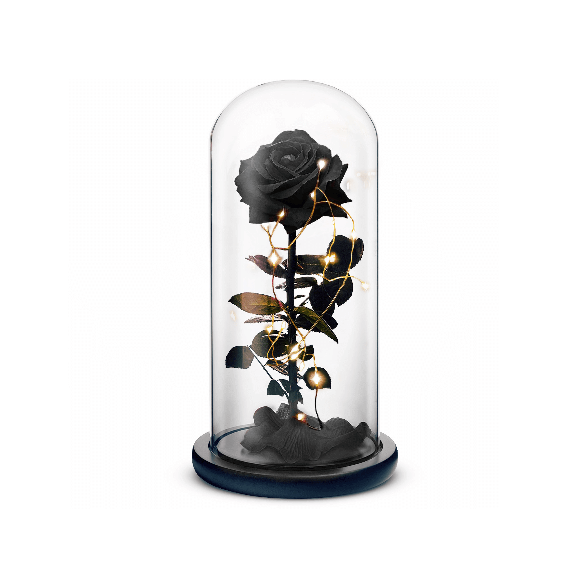 Beauty and The Beast Rose (Black)